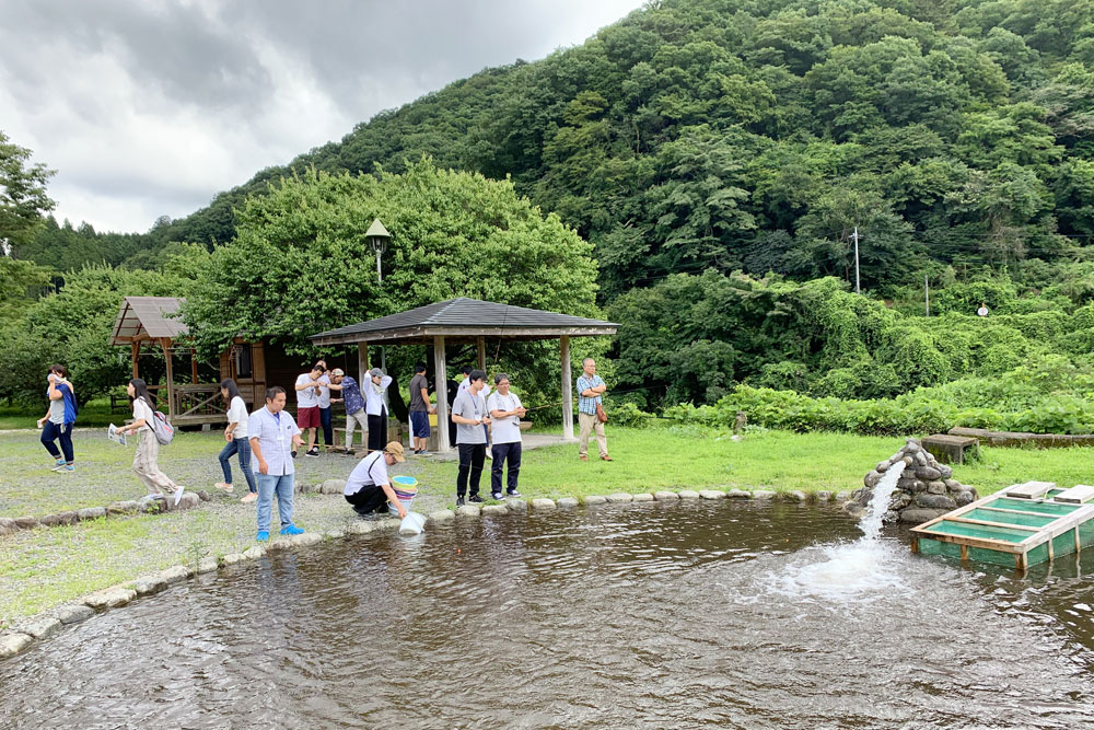家庭汽车露营地沢入